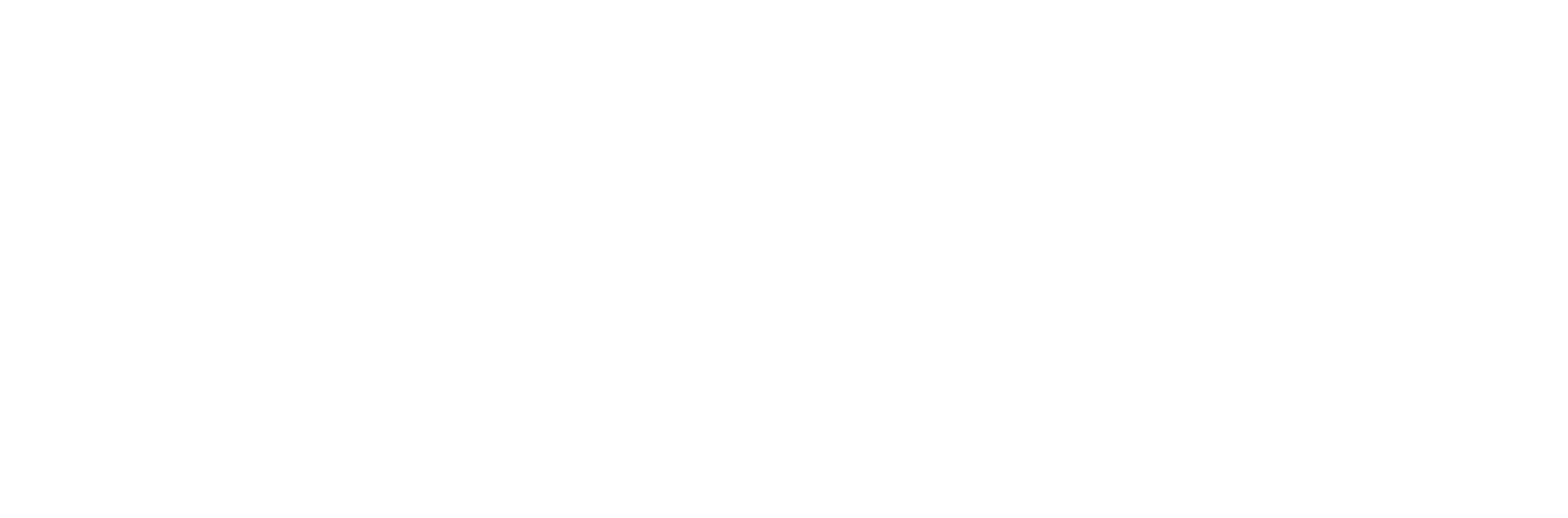 Psyche - Logo - biele+text